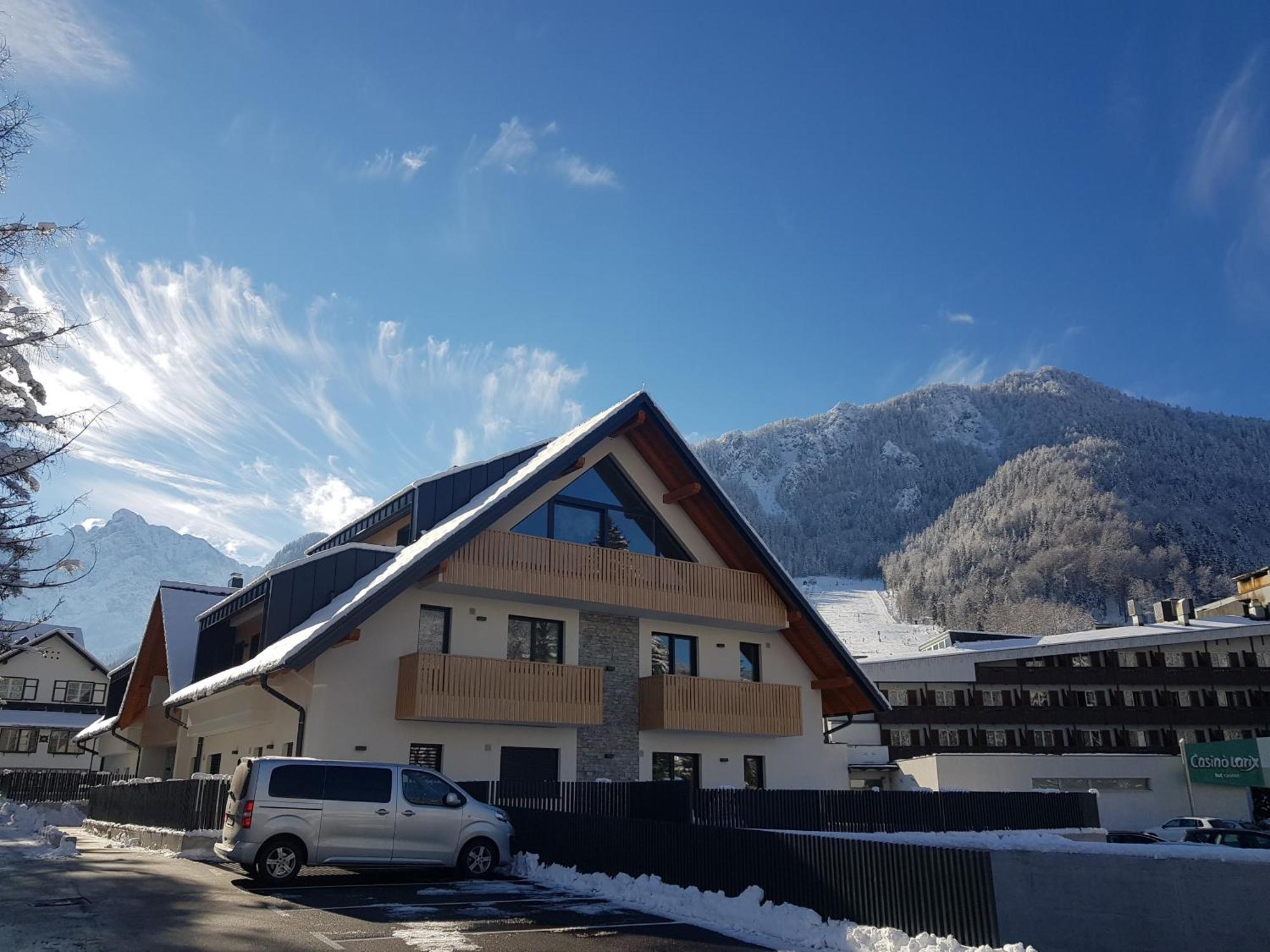 Vila Mojca Apartments Jasna & Jelka 克拉尼斯卡戈拉 外观 照片