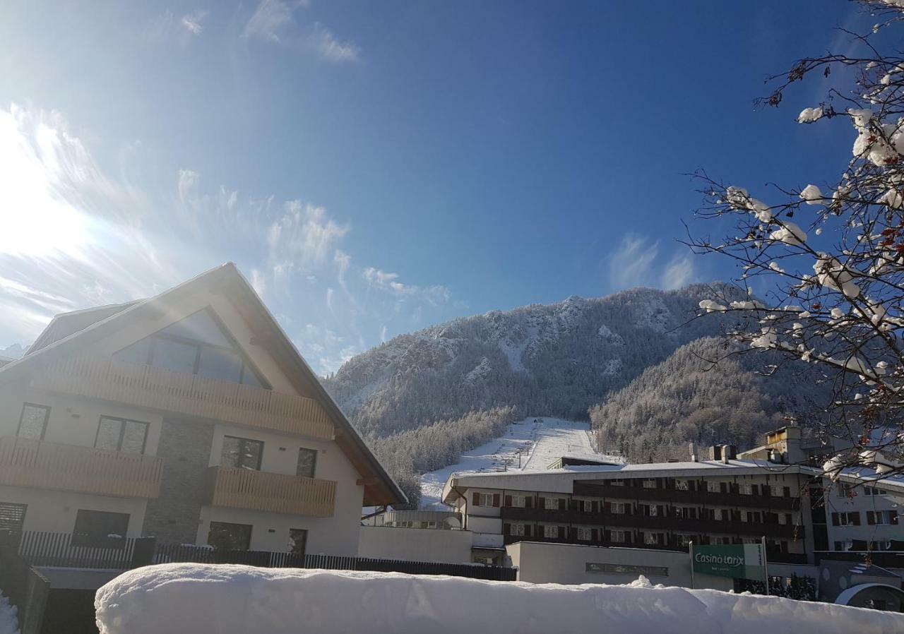 Vila Mojca Apartments Jasna & Jelka 克拉尼斯卡戈拉 外观 照片