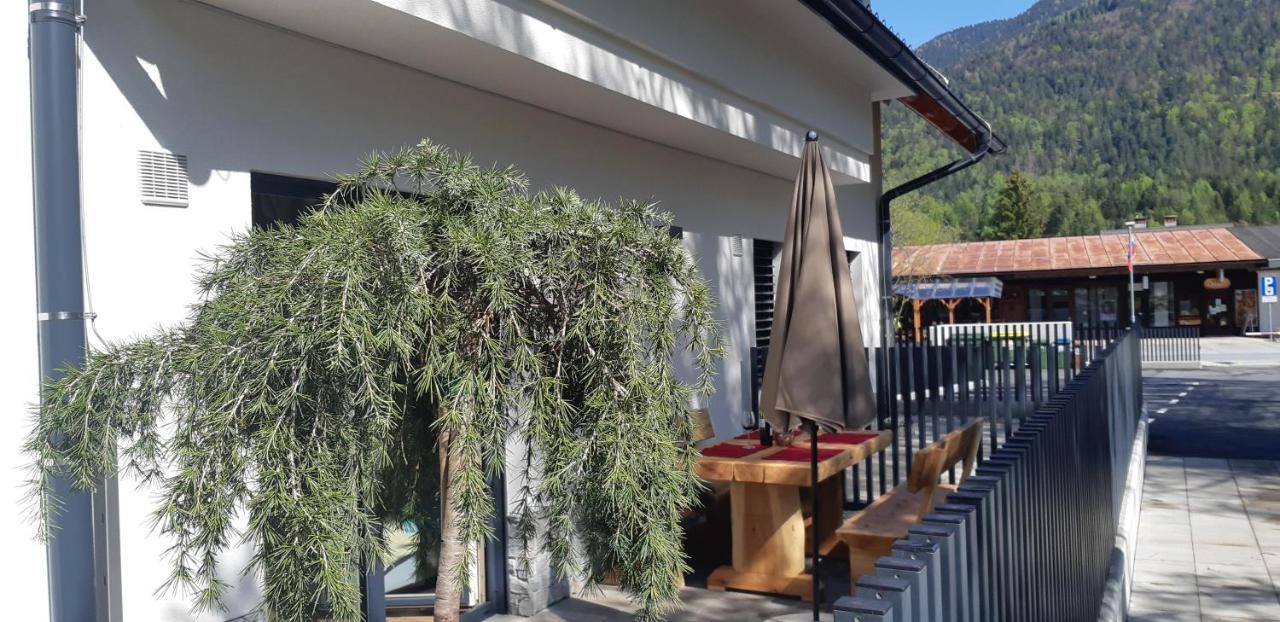 Vila Mojca Apartments Jasna & Jelka 克拉尼斯卡戈拉 外观 照片